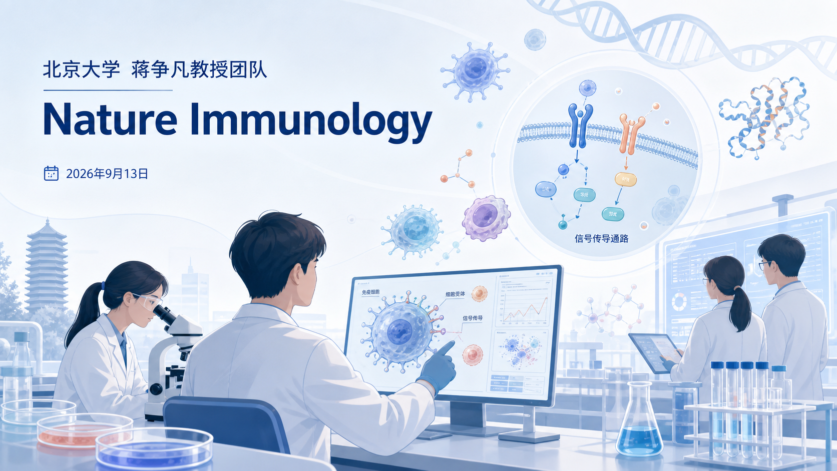 2026年9月13日资讯,北京大学蒋争凡教授团队在《自然·免疫学》(Nature Immunology)发表研究,揭示了自噬调控蛋白 AMBRA1 作为"互作支架蛋白"变构激活 NLRP3 炎症小体的机制,阐明了 NLRP3 如何从自抑制的闭合构象转变为激活的开放构象,为痛风、炎症性肠病、脓毒症等 NLRP3 相关炎症性疾病的治疗提供了全新靶点。