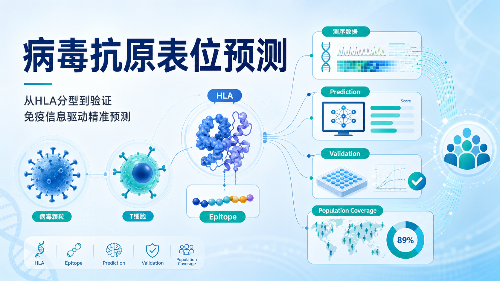 基于免疫信息的病毒抗原表位预测方法突破