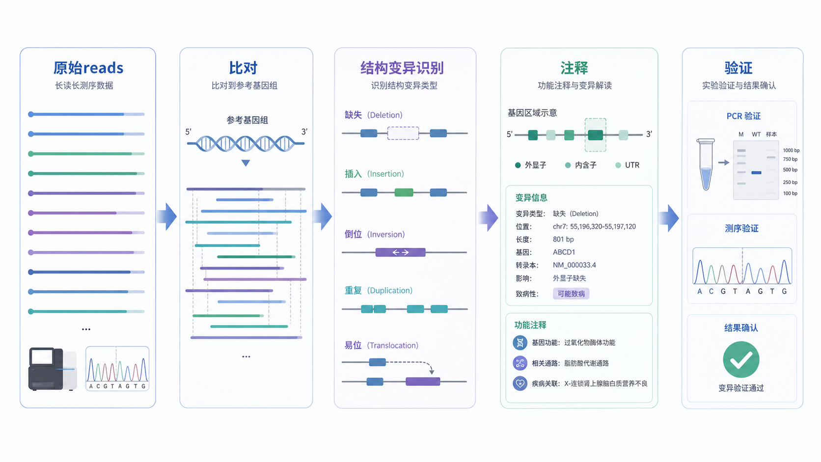 长读长测序数据分析流程示意图,包含原始reads、比对、结构变异识别、注释与验证几个步骤,整体风格专业简洁。