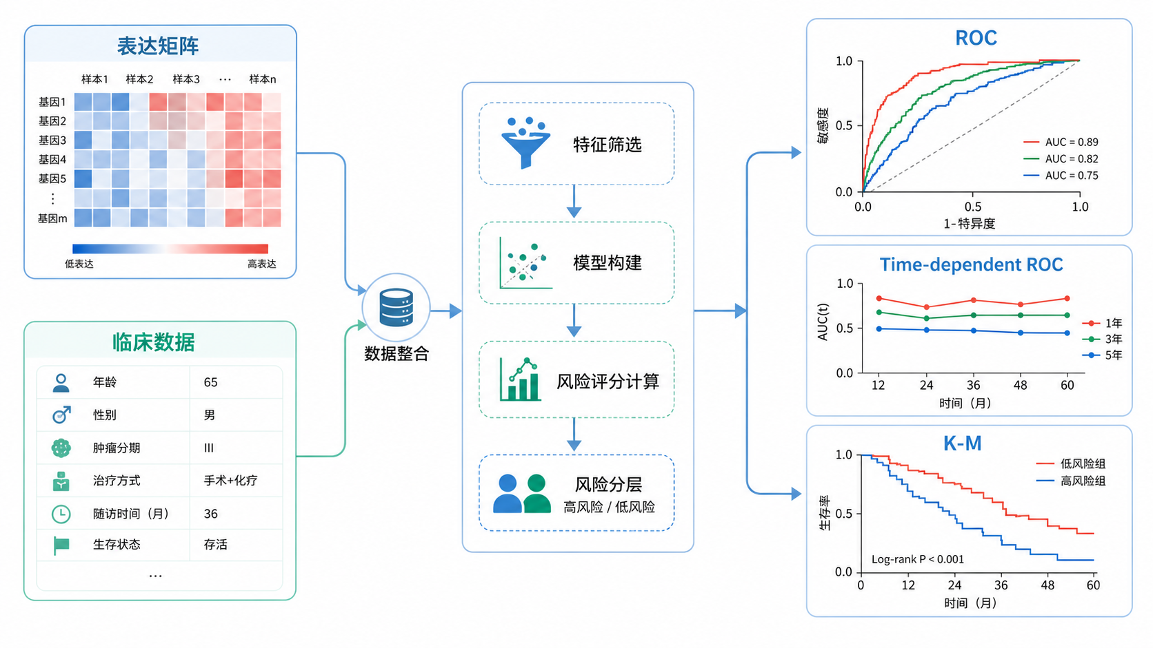一张TCGA数据流转示意图,左侧为表达矩阵和临床数据,右侧依次输出ROC曲线、时间依赖ROC和KM生存曲线,风格简洁专业