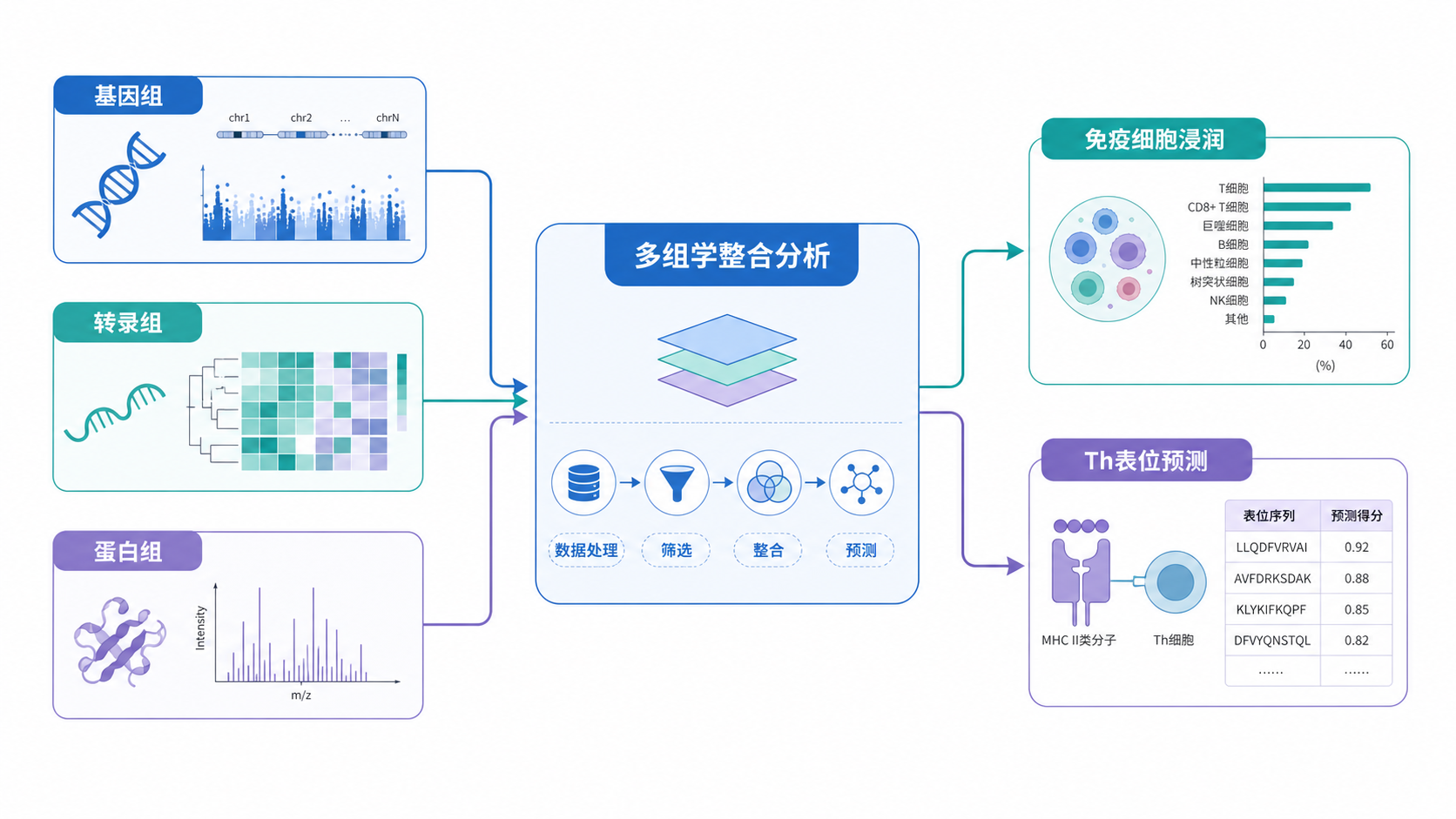 多组学数据整合流程图，展示基因组、转录组、蛋白组、免疫细胞浸润与Th表位预测之间的关系。