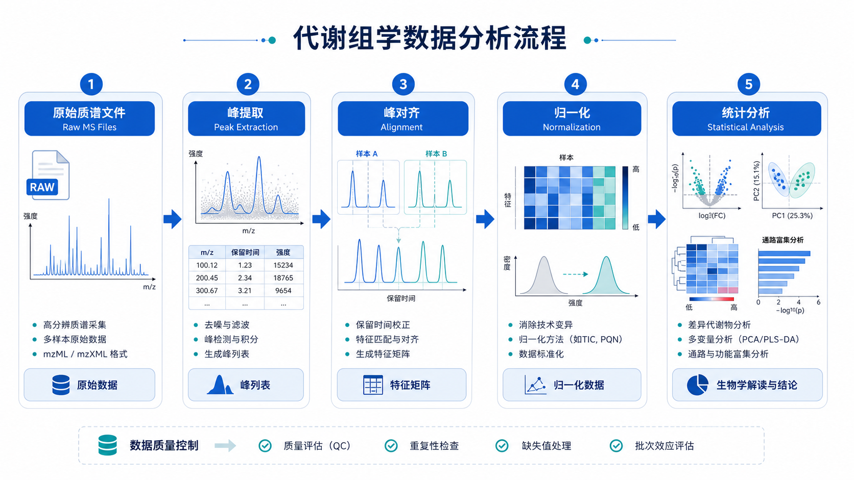 一张代谢组学数据分析流程图，展示从原始质谱文件到峰提取、对齐、归一化、统计分析的完整链路，画面中突出 WorkBuddy 和 MS-DIAL 两个模块