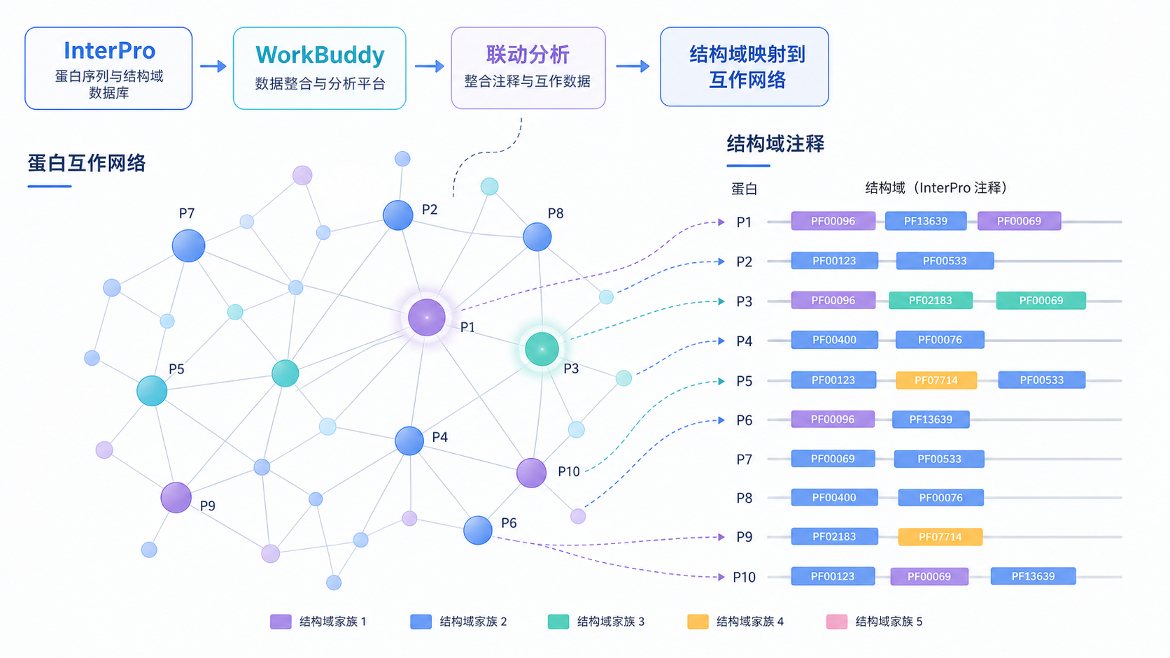 蛋白互作网络图叠加蛋白家族结构域注释示意图，展示InterPro与WorkBuddy联动分析流程