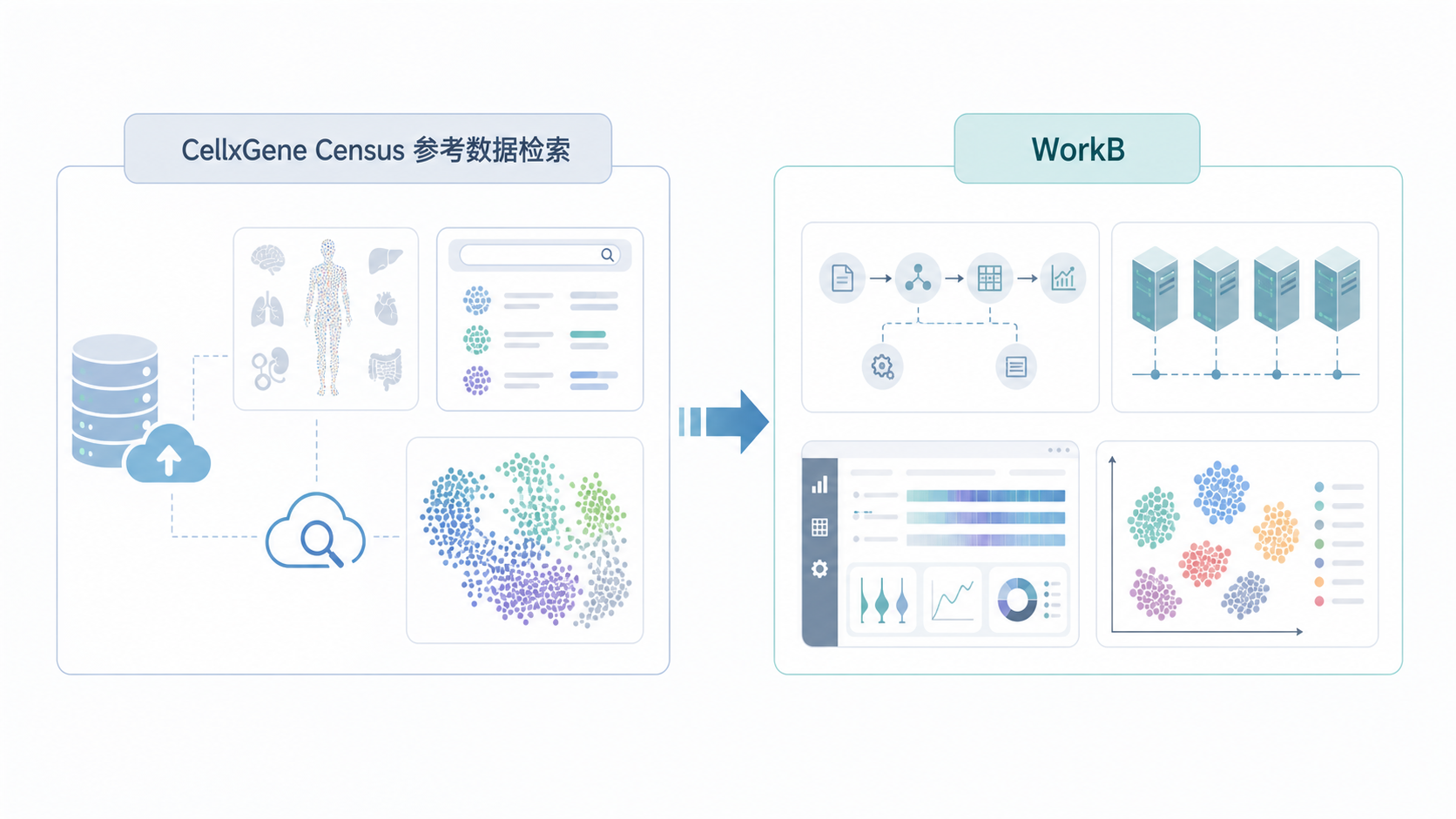 一张单细胞分析工作流示意图，左侧是CellxGene Census参考数据检索，右侧是WorkBuddy分析流程编排，中间用数据流箭头连接，整体风格专业、简洁。