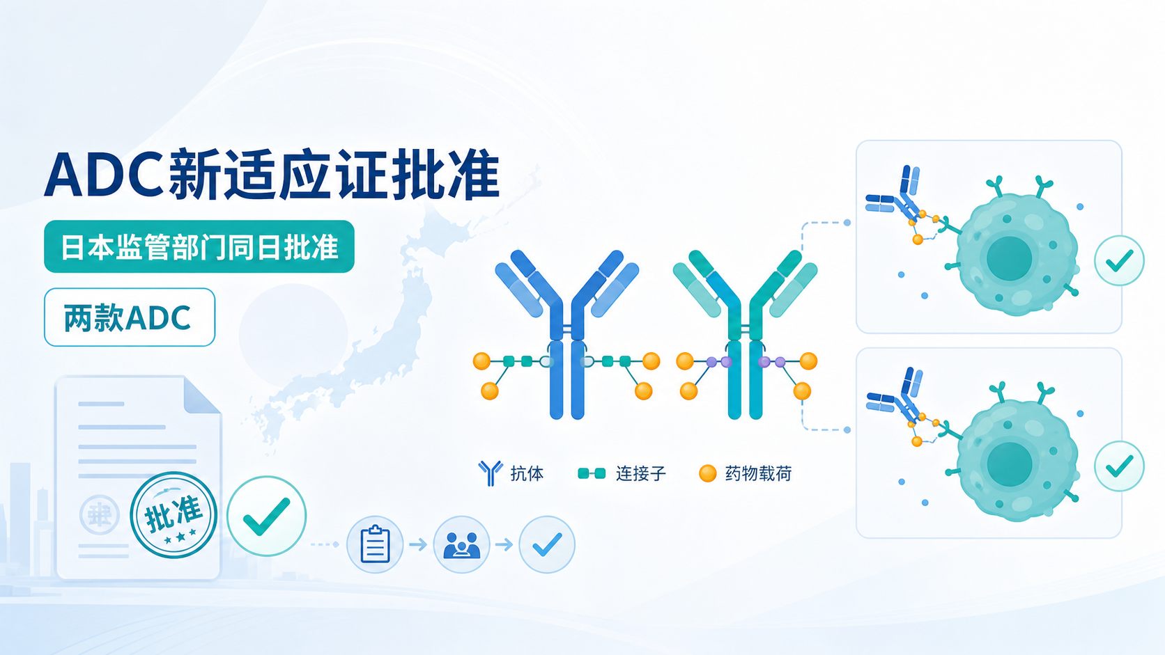 2026年9月16日资讯,第一三共宣布日本监管部门同日批准两款抗体偶联药物(ADC)的新适应证:德曲妥珠单抗(Enhertu)联合帕妥珠单抗用于一线 HER2 阳性不可切除或转移性乳腺癌,以及 Datroway(datopotamab deruxtecan)用于不适合 PD-1/PD-L1 抑制剂治疗的一线转移性三阴性乳腺癌。两项批准分别基于 DESTINY-Breast09 与 TROPION-Breast02 两项 III 期研究,标志着 ADC 正从后线治疗挺进晚期乳腺癌的一线标准治疗。