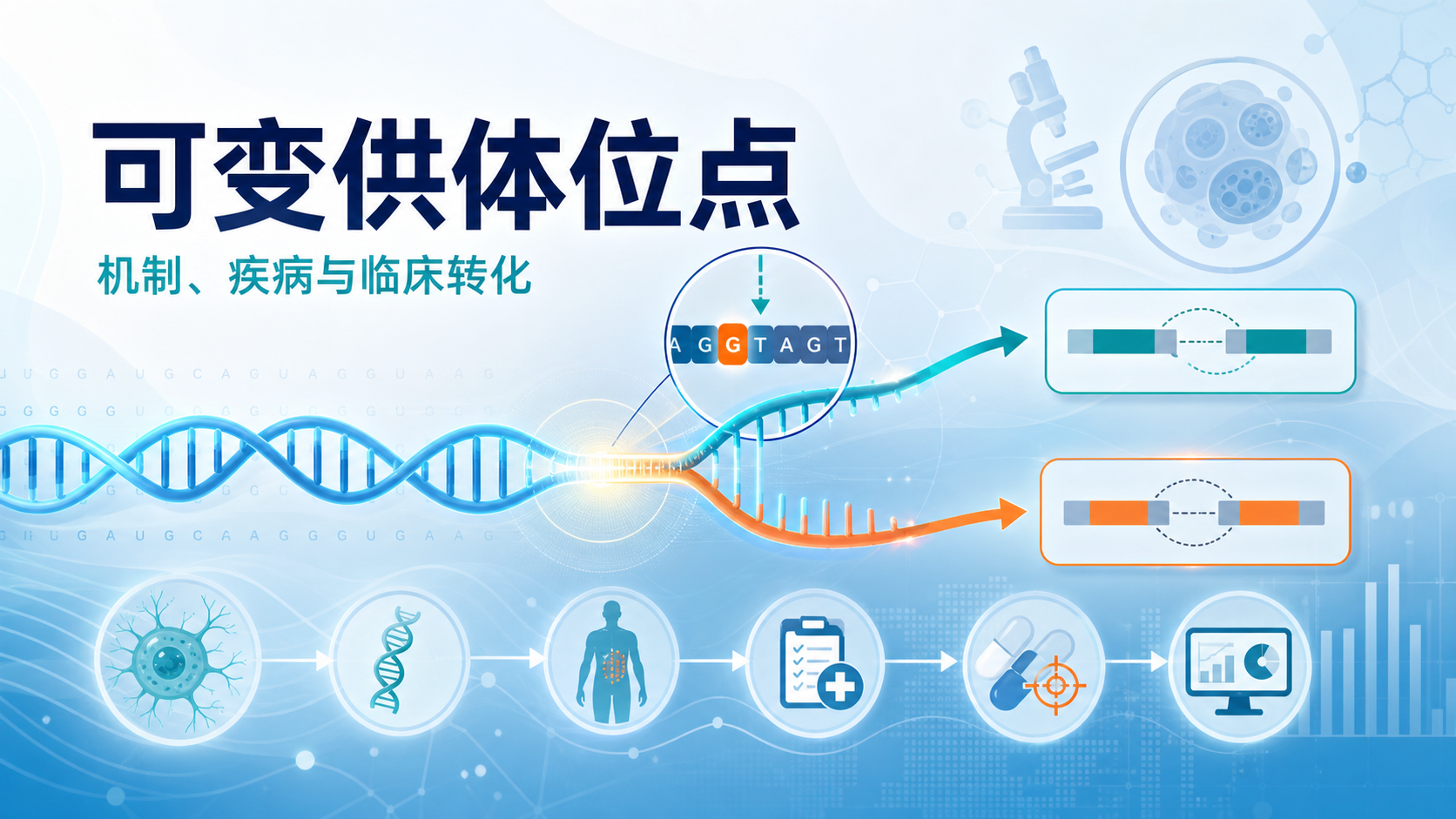 可变供体位点：从机制到临床转化的关键突破
