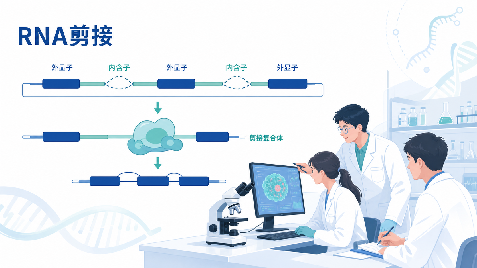 科研人员在显微镜和RNA剪接示意图前讨论，背景包含外显子、内含子和剪接复合体的机制示意图