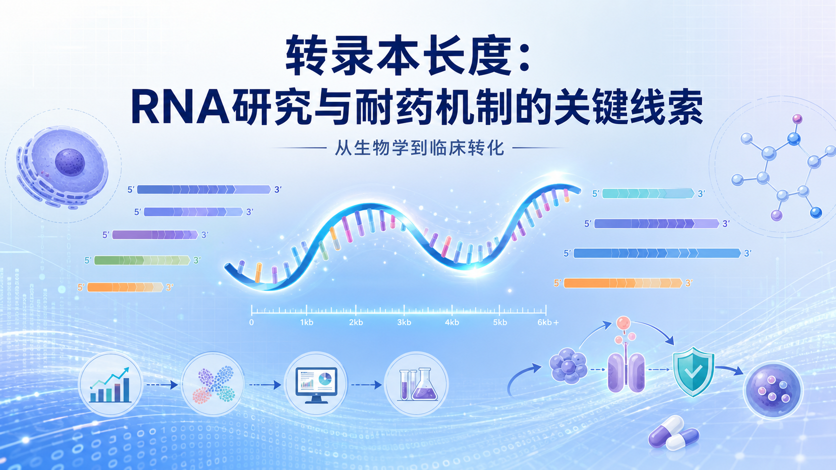 转录本长度分析：解锁RNA生物学与治疗耐药的新视角