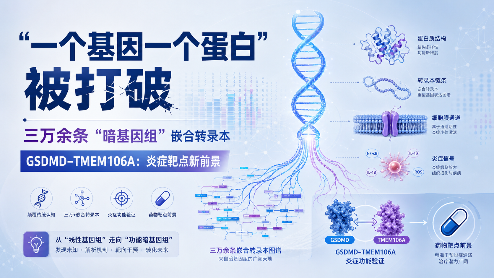‎每日资讯速递2026-09-02｜哈佛Nature发现跨染色体嵌合mRNA新基因调控系统