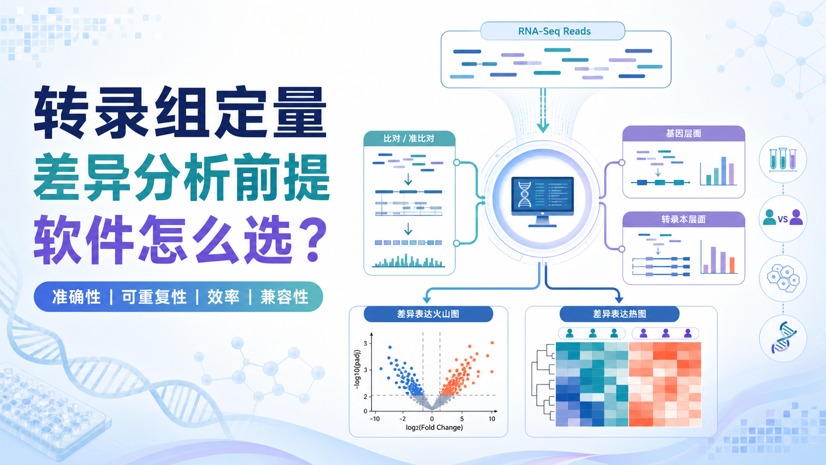 转录组定量软件选型指南：精准解析差异表达分析核心要点