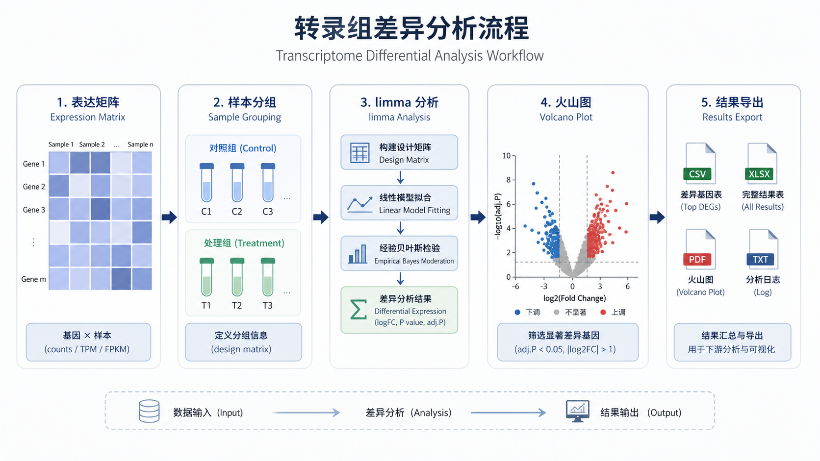 一张转录组差异分析流程图，包含表达矩阵、样本分组、limma分析、火山图和结果导出，风格简洁专业。