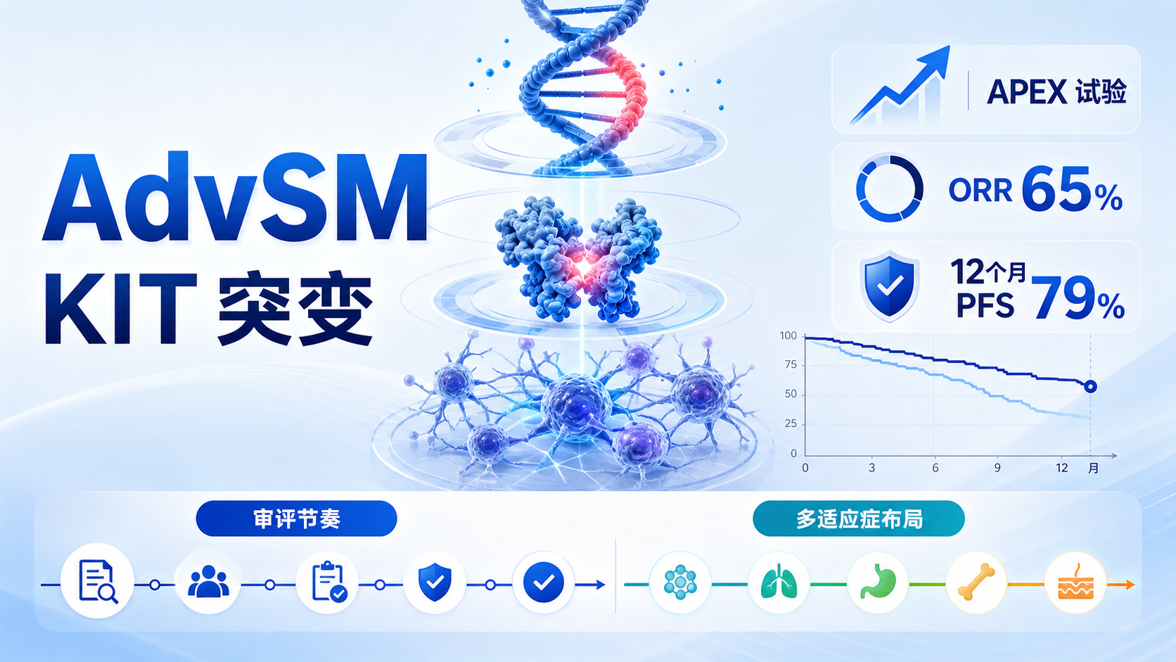 FDA受理bezuclastinib治疗进展期系统性肥大细胞增多症上市申请