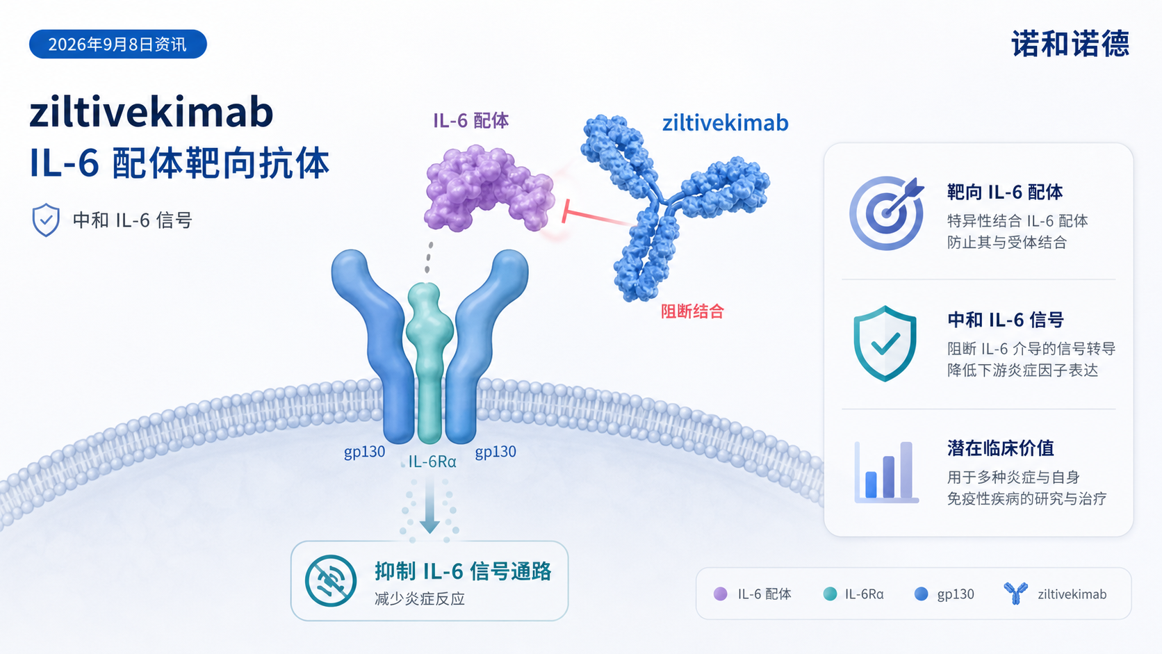 2026年9月8日资讯,诺和诺德宣布,其 IL-6 配体靶向抗体 ziltivekimab 的两项 III 期心衰研究 HERMES 与 ATHENA 将提前终止。独立数据监察委员会在审查总体数据后认为,两项试验均不太可能得出与 7 月失败的 ZEUS 试验不同的结果。至此,ziltivekimab 的四项 III 期研究中三项折戟,仅剩针对心梗后急性炎症的 ARTEMIS 试验仍在进行,数据预计 2027 年上半年读出。分析人士据此判断,"IL-6 在慢性心血管疾病中已是一个不成立的靶点"。