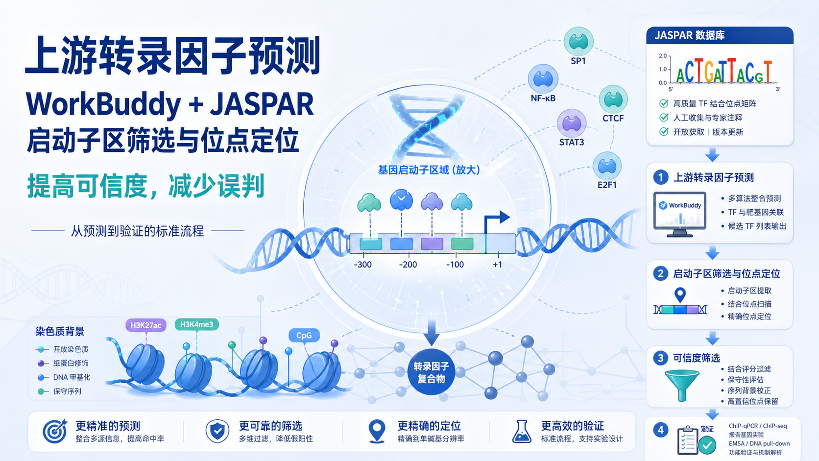 WorkBuddy结合JASPAR精准预测上游转录因子
