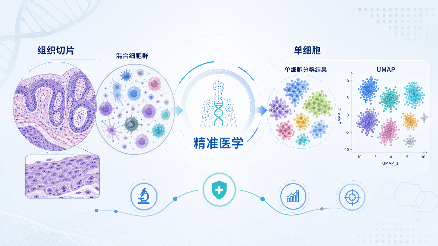 显微镜下的单细胞与组织切片对比图，左侧为混合细胞群，右侧为单细胞分群和UMAP图，突出精准医学主题