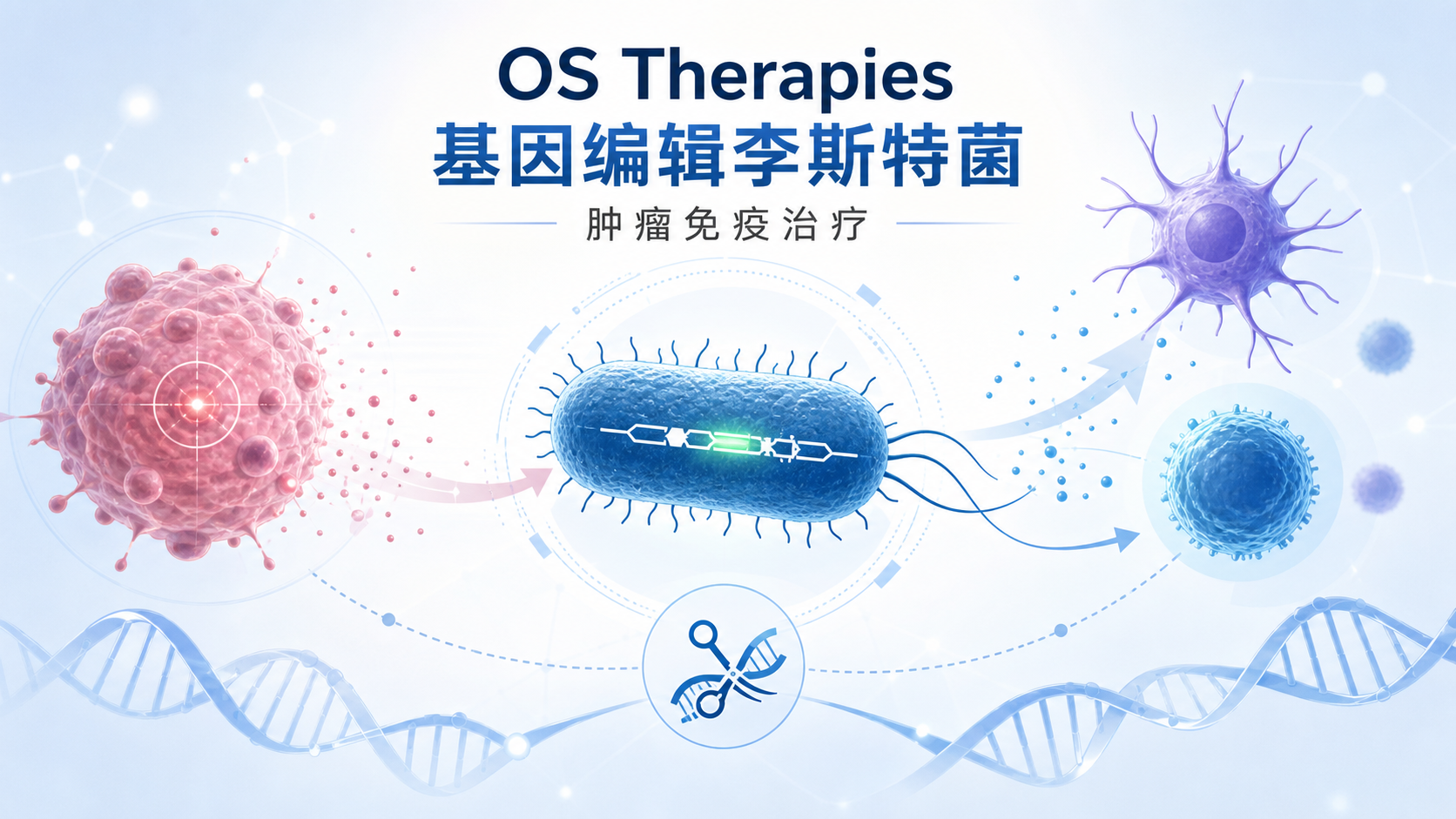 2026年9月15日资讯，生物制药公司 OS Therapies 宣布，其基于基因编辑李斯特菌的癌症免疫疗法在"预防或延迟完全切除的肺转移性骨肉瘤复发"这一孤儿适应症上，已与英国药品和健康产品管理局（MHRA）及欧盟欧洲药品管理局（EMA）就其有条件上市许可申请（CMAA）达成全面对齐，确证性 III 期试验计划于 2026 年第四季度启动。