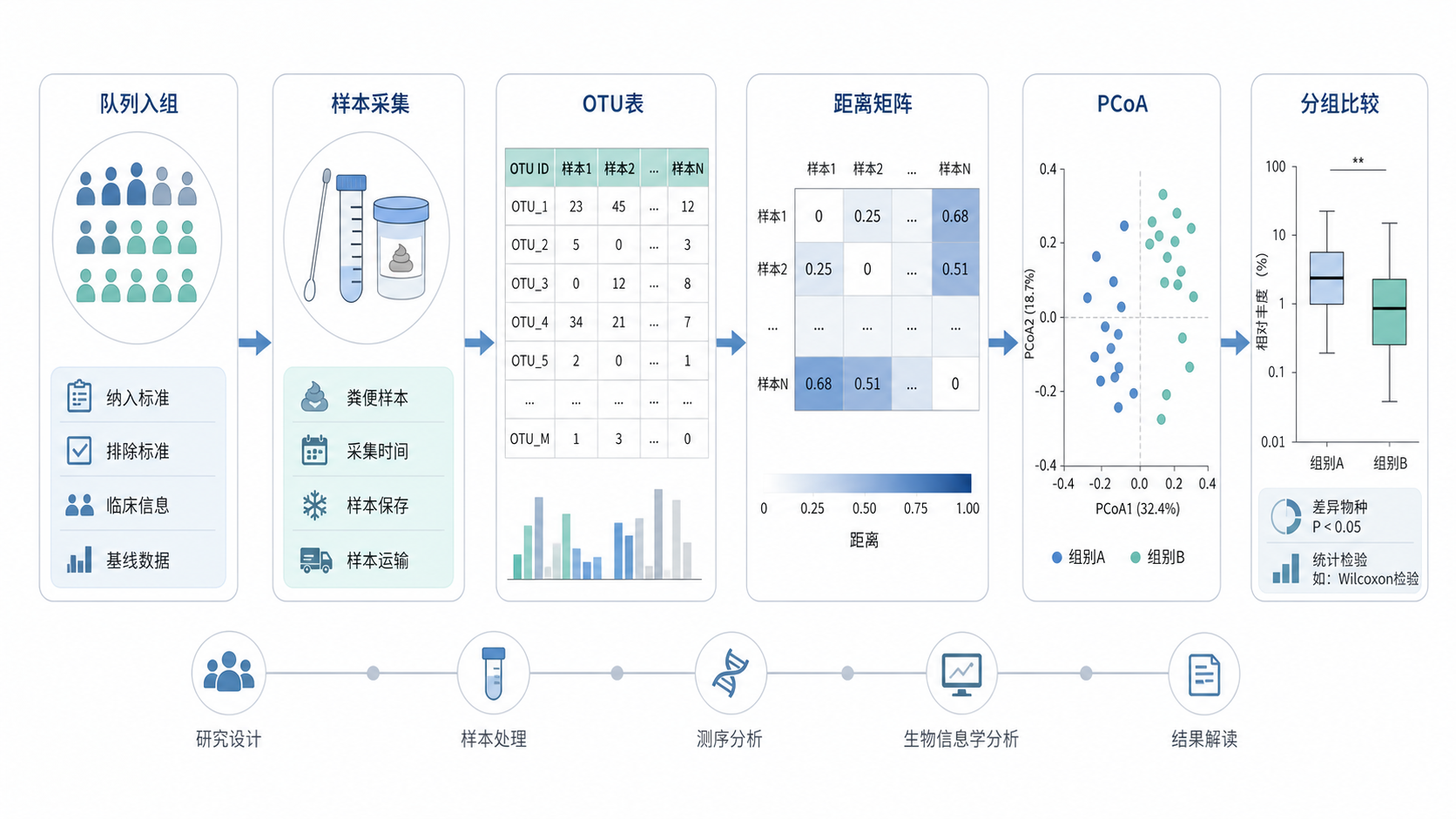 疾病队列研究流程图,展示OTU表、距离矩阵、PCoA散点图和分组比较结果,整体风格为医学科研论文配图