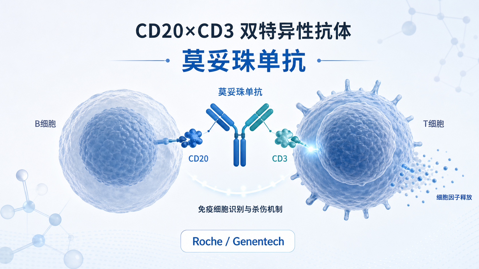 2026年9月17日资讯,罗氏/基因泰克宣布,其 CD20×CD3 双特异性抗体莫妥珠单抗(mosunetuzumab,商品名 Lunsumio)联合来那度胺,在治疗复发/难治性(R/R)滤泡性淋巴瘤的 III 期 CELESTIMO 研究中达到无进展生存期(PFS)主要终点,显著优于利妥昔单抗联合来那度胺(R2 方案)。这一确认性结果将支撑其从加速批准转为完全批准并拓展至更早治疗线。