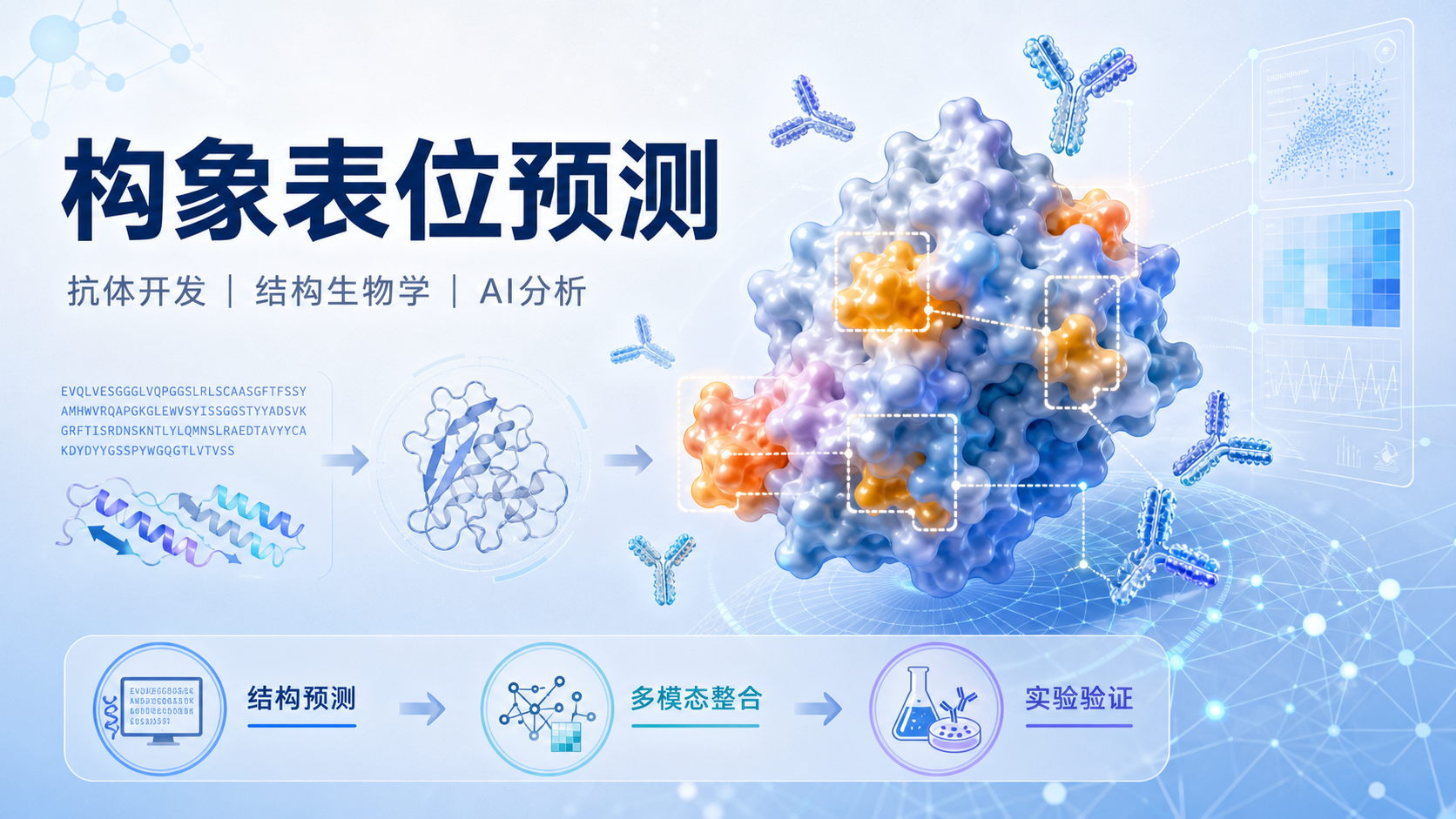 构象表位预测在抗体开发中的关键角色与前沿工具