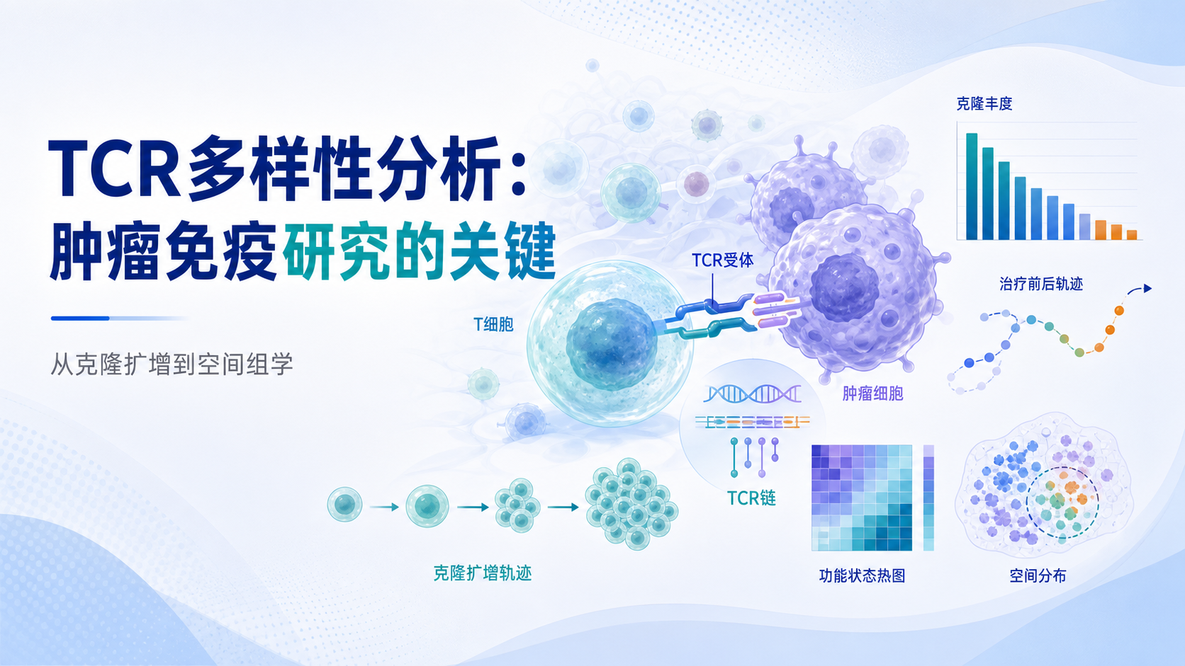 基于TCR多样性分析挖掘肿瘤微环境免疫应答特征