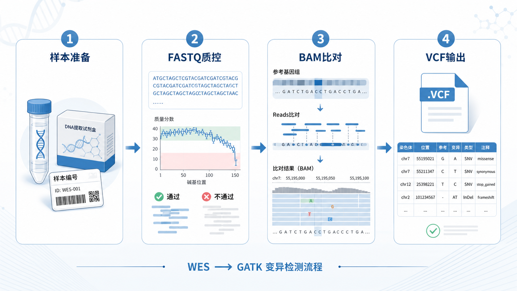 一张WES到GATK变异检测的流程图,突出样本准备、FASTQ质控、BAM比对、VCF输出四个关键节点,旁边标注WorkBuddy辅助优化流程。