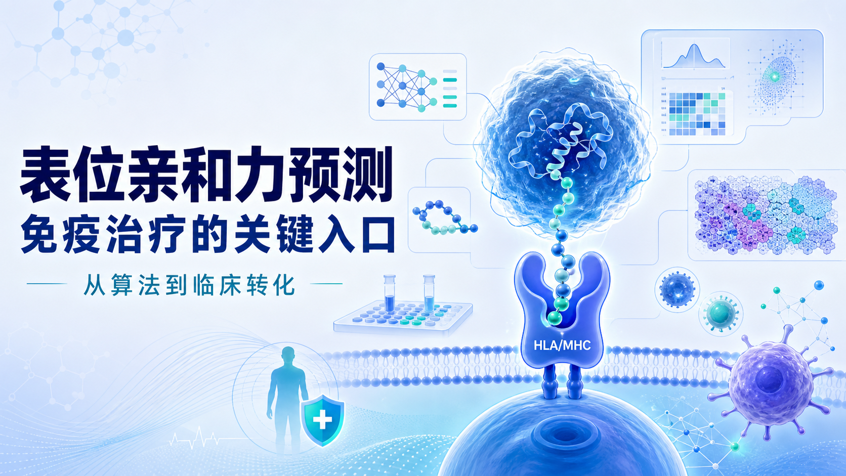 表位亲和力预测驱动个体化免疫治疗:临床转化前沿进展