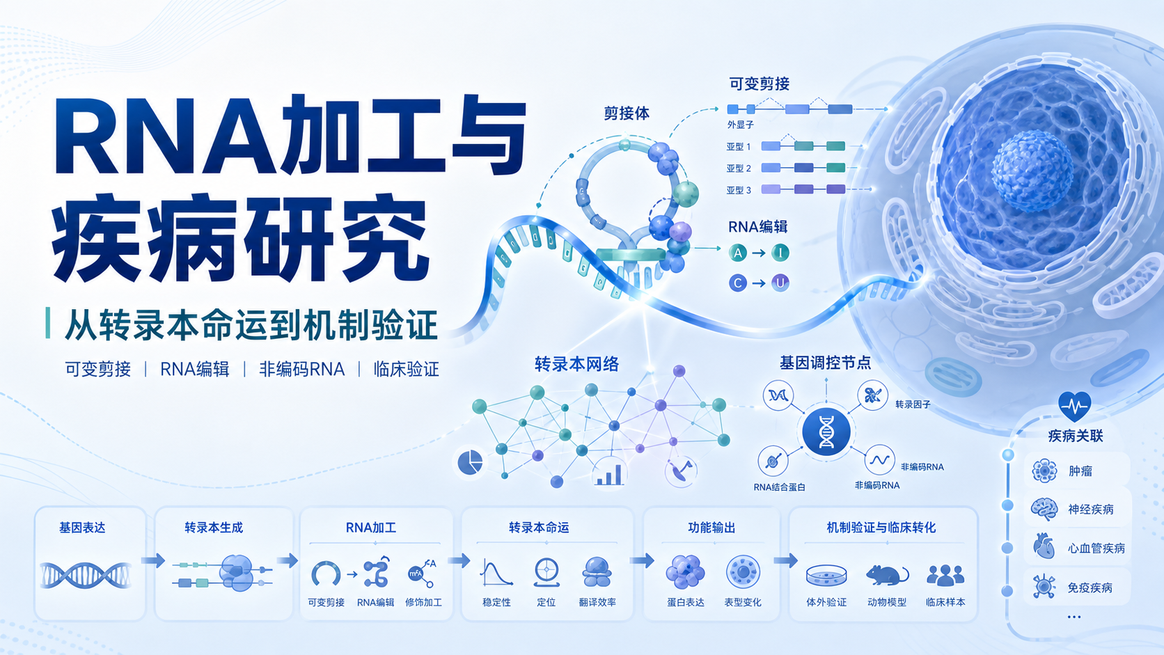 RNA加工图谱：解码转录后调控在疾病中的核心角色