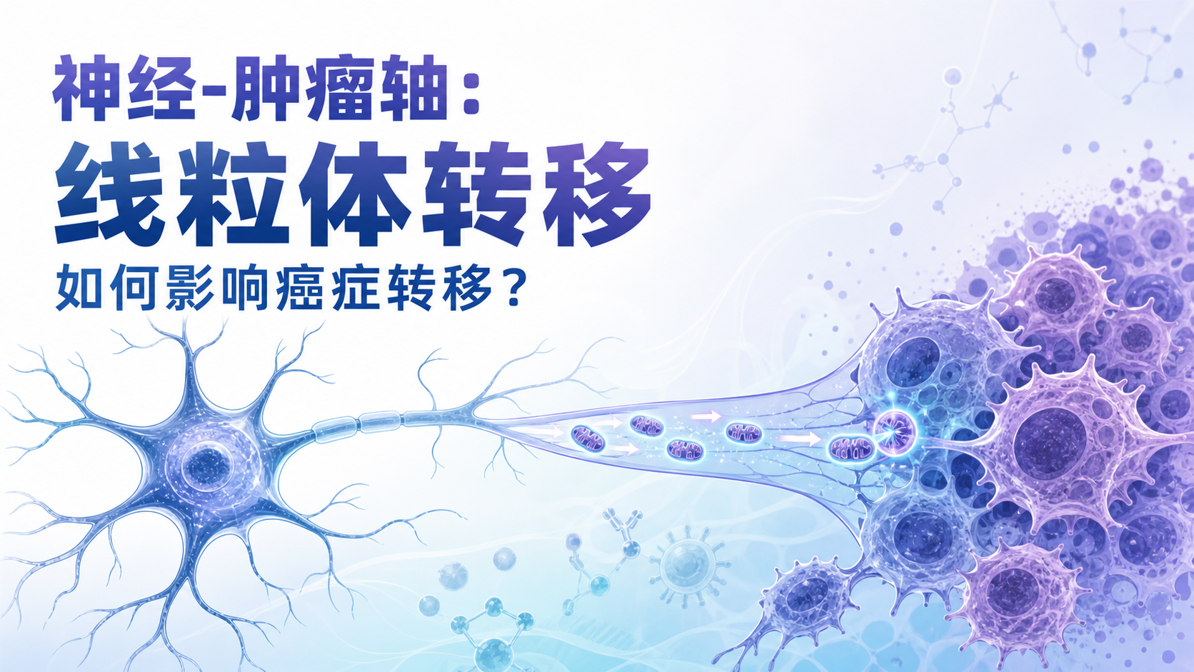 癌症相关神经元细胞器转移驱动肿瘤转移新假说