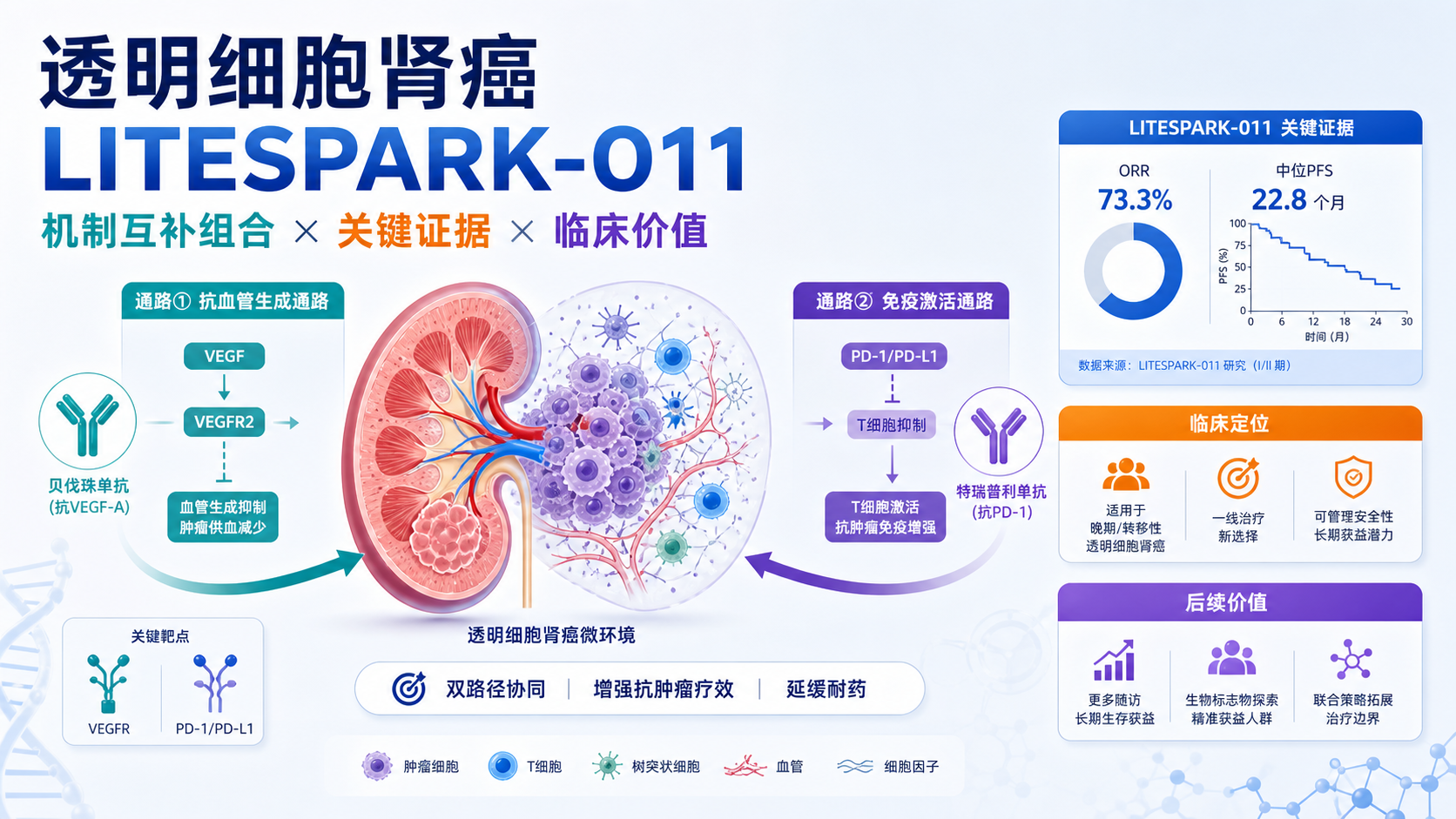 ‎默沙东Welireg联合Lenvima获批晚期肾细胞癌