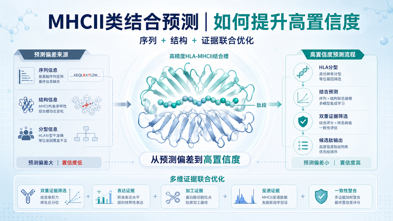 高置信度MHCII类结合预测:整合结构与序列特征的优化方案