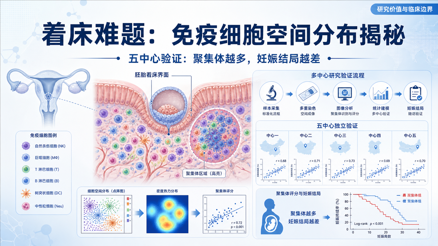 ‎每日资讯速递2026-08-31｜子宫内膜淋巴细胞聚集体-不良妊娠结局新线索