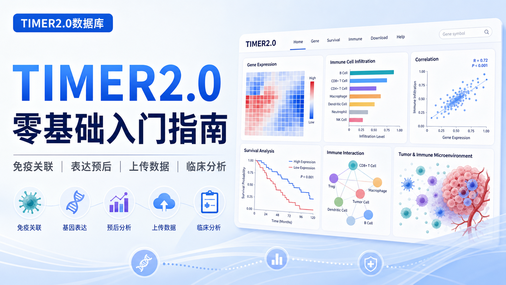 零基础玩转TIMER2.0，告别生信数据挖掘无从下手