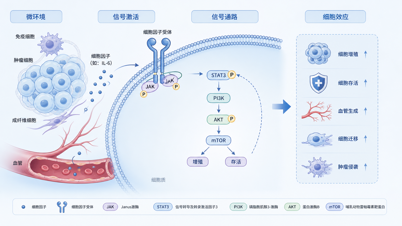 一张生物医学机制图工作场景图,包含细胞、分子、血管等元素,并展示“规范”“清晰”“统一风格”的视觉关键词