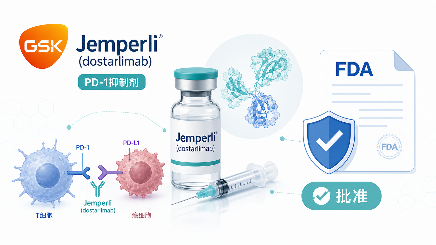 美国 FDA 对葛兰素史克(GSK)的 PD-1 抑制剂 Jemperli(dostarlimab)授予加速批准,用于既往未治疗、经 FDA 授权检测确认为错配修复缺陷(dMMR)或高度微卫星不稳定(MSI-H)的 II/III 期局部晚期直肠癌(LARC)成人患者。这是该适应症领域首个且目前唯一获批的免疫治疗,关键依据来自 AZUR-1 试验:在 154 例患者中,独立中心评审的 12 个月持续临床完全缓解(cCR12)达 47%,客观缓解率(ORR)达 79%,中位随访 26.3 个月时达到 cCR 或近完全缓解(nCR)的患者无一出现疾病进展。这意味着符合生物标志物条件的一部分患者,有望跳过化疗、放疗和手术,实现"器官保留"。本文梳理获批背景、关键数据与临床落地要点。
