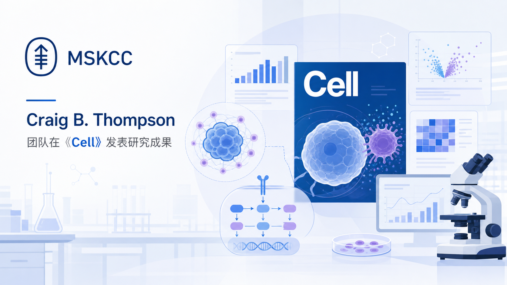 纪念斯隆凯特琳癌症中心(MSKCC)Craig B. Thompson 院士团队在《Cell》发表题为"Mitochondrial ATP promotes T cell differentiation through chromatin accessibility"的研究,揭示了线粒体能量代谢如何"远程"调控 T 细胞命运与抗肿瘤功能的关键机制。研究发现,小分子 D-α-羟基丁酸(DAHB)能够推动活化 CD8+ T 细胞由糖酵解供能转向依赖脂肪酸氧化的线粒体氧化磷酸化,并通过磷酸肌酸(PCr)能量储备支持 ATP 依赖的 BAF 染色质重塑,使效应基因位点保持开放,从而增强 T 细胞效应分化与抗肿瘤活性。