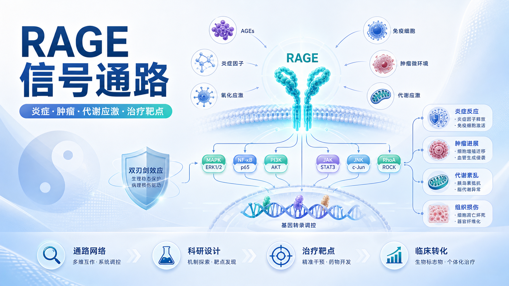 RAGE信号通路:疾病治疗新靶点还是双刃剑?