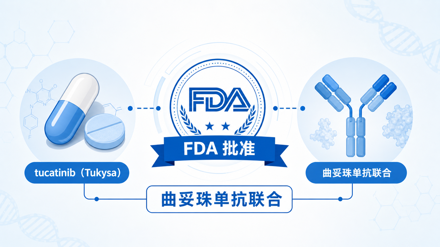 美国 FDA 批准 tucatinib(Tukysa,Seagen 公司,辉瑞子公司)联合曲妥珠单抗与帕妥珠单抗,用于诱导治疗后无法切除的局部晚期或转移性 HER2 阳性乳腺癌成人患者的维持治疗。这一新适应症的获批为 HER2 阳性晚期乳腺癌患者在标准双靶治疗后提供了口服维持治疗的新选择,进一步丰富了该人群的长期疾病控制策略。