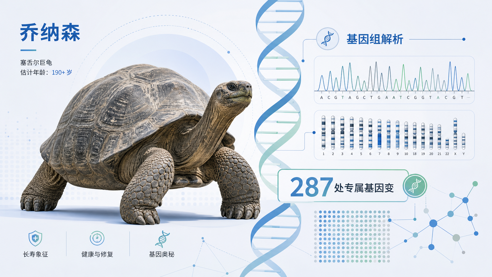 科学家完成了对全球最长寿陆生动物、塞舌尔巨龟"乔纳森"的基因组解析，发现287处专属于它的基因变化，其中41个被认为具有重要功能意义，12个基因与已知长寿物种的老化基因数据库重叠。研究显示，乔纳森基因组中线粒体功能相关部分的生理状态相当于5岁年轻巨龟，为理解极端长寿与抗衰老机制提供了新线索。