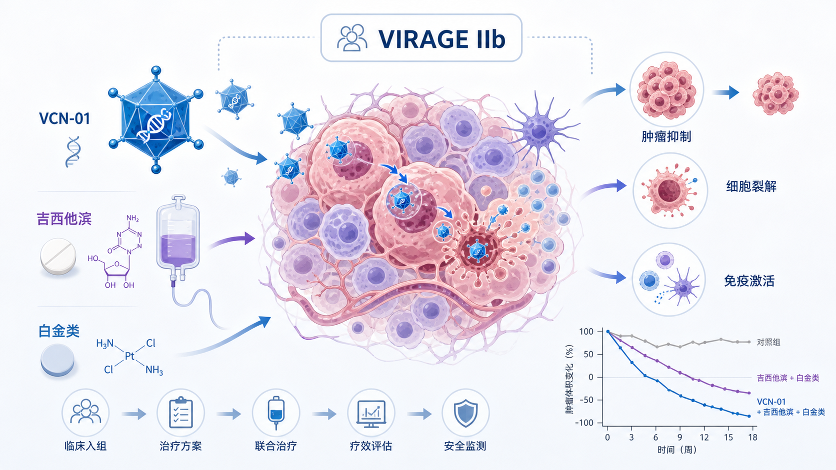 《自然·医学》刊发的IIb期VIRAGE临床试验成果显示,溶瘤腺病毒VCN-01联合吉西他滨与白蛋白结合型紫杉醇化疗,为晚期转移性胰腺导管腺癌患者带来显著的生存改善:18个月生存率从单纯化疗的8.5%提升至31.1%。这一"能钻进肿瘤内部"的病毒疗法为"癌中之王"的胰腺癌治疗带来全新方向。