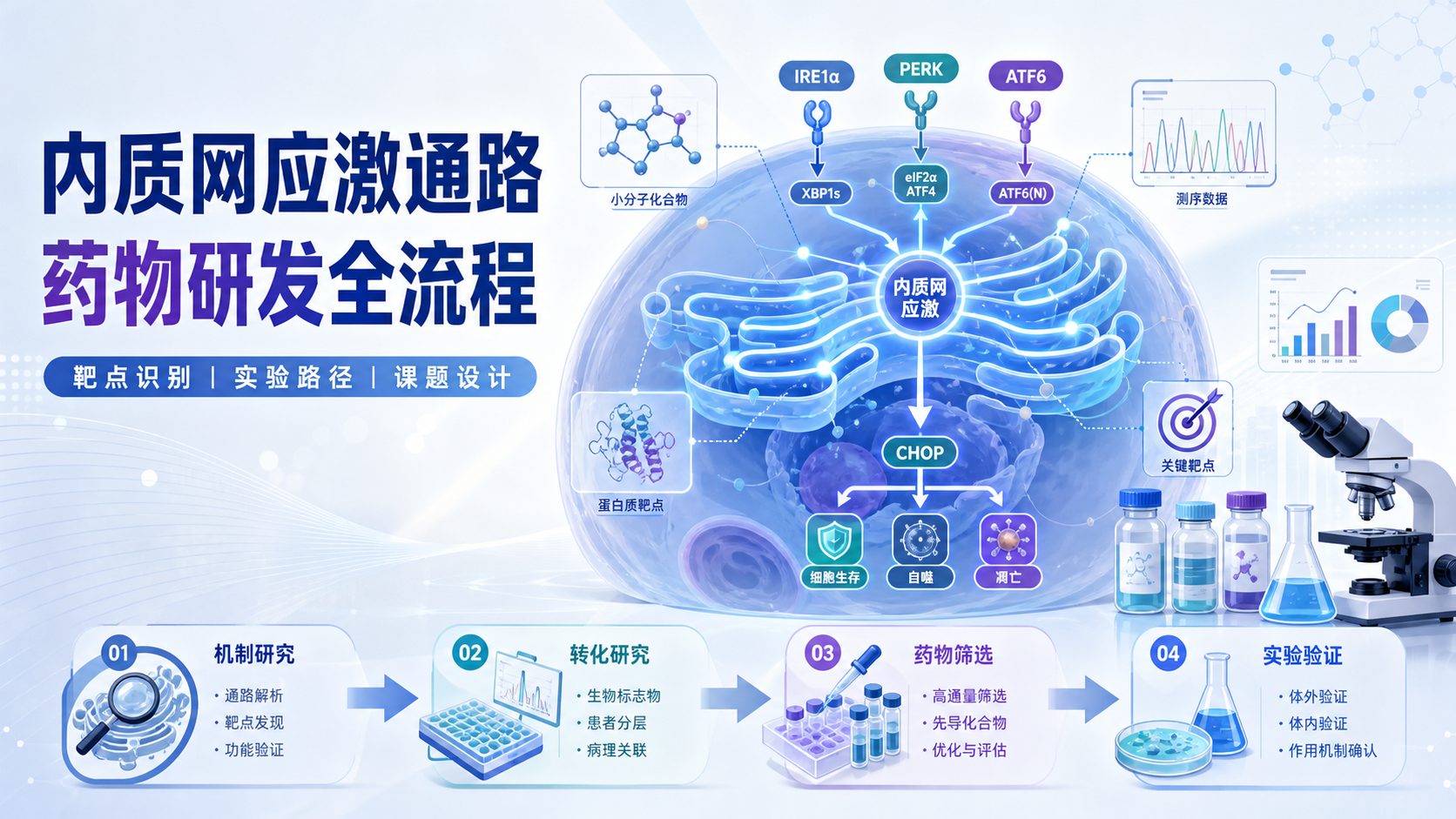 靶向内质网应激通路:药物研发新策略