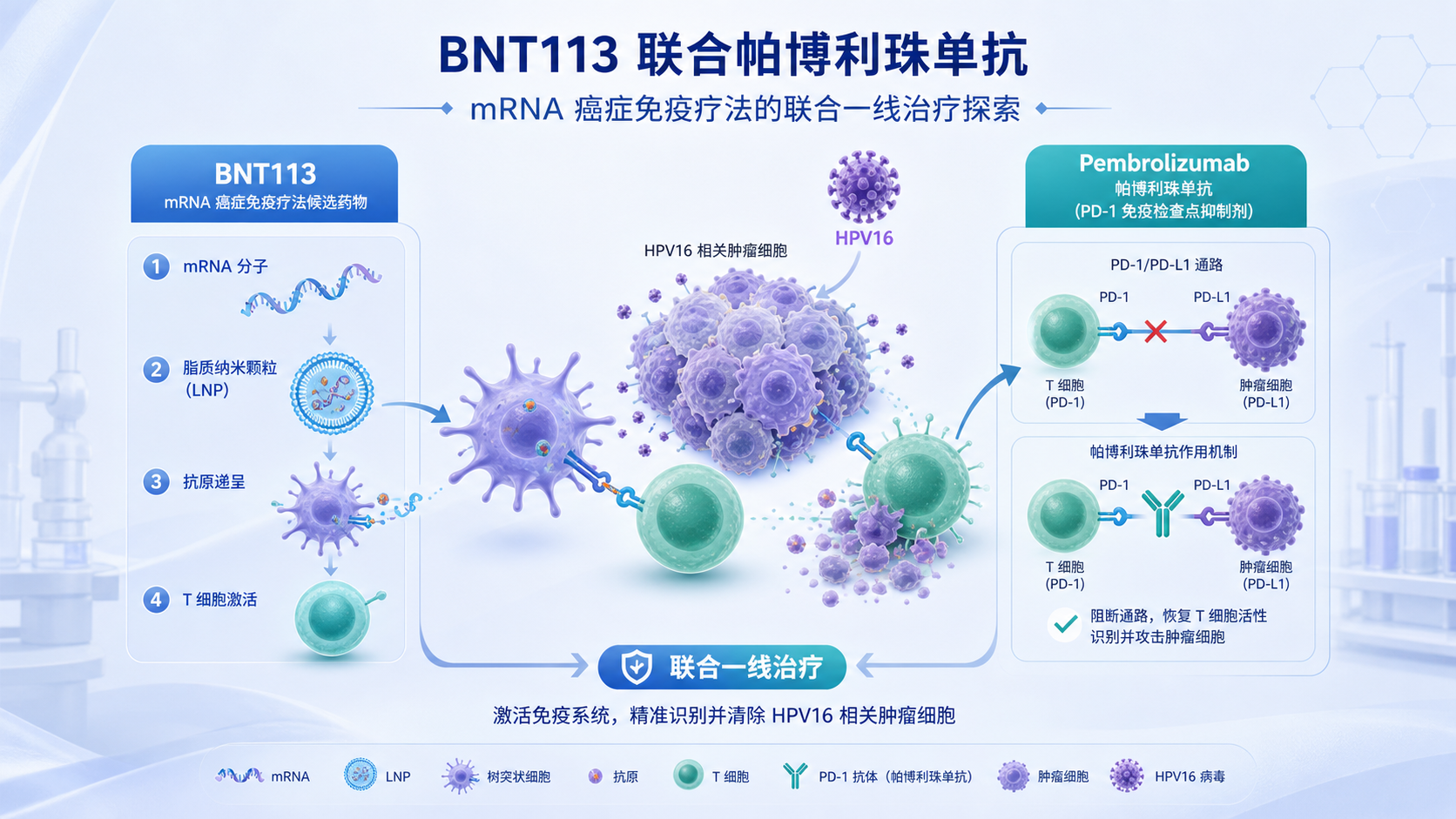 BioNTech公布其mRNA癌症免疫疗法候选药物BNT113联合帕博利珠单抗一线治疗HPV16阳性头颈鳞癌的AHEAD-MERIT 2/3期试验首个顶线结果：联合治疗未能在无进展生存期（PFS）上相对帕博利珠单抗单药取得统计学显著改善。独立数据监查委员会建议试验继续推进，以评估第二项双主要终点——总生存期（OS）。