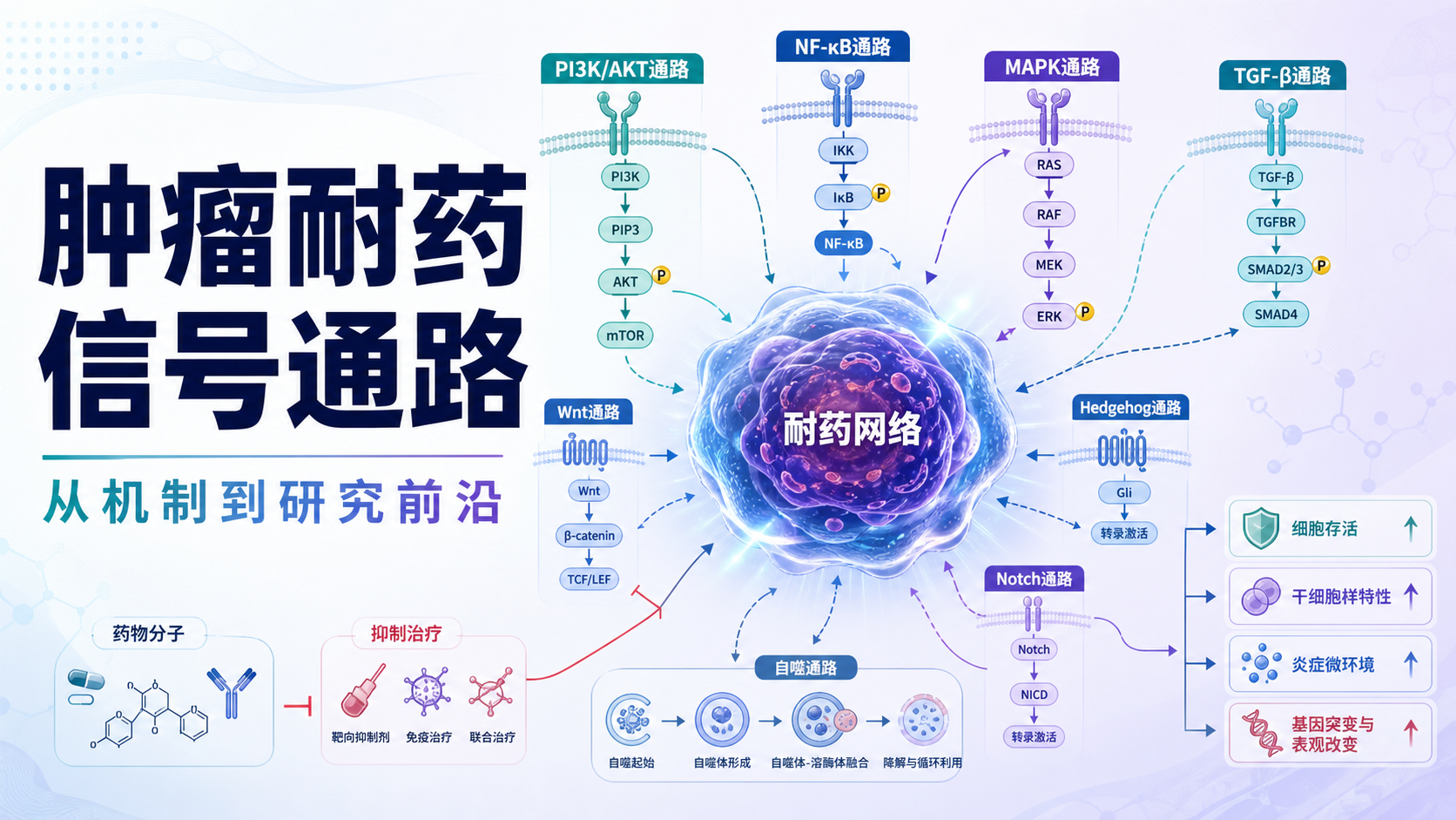 肿瘤耐药信号通路研究:前沿与争议