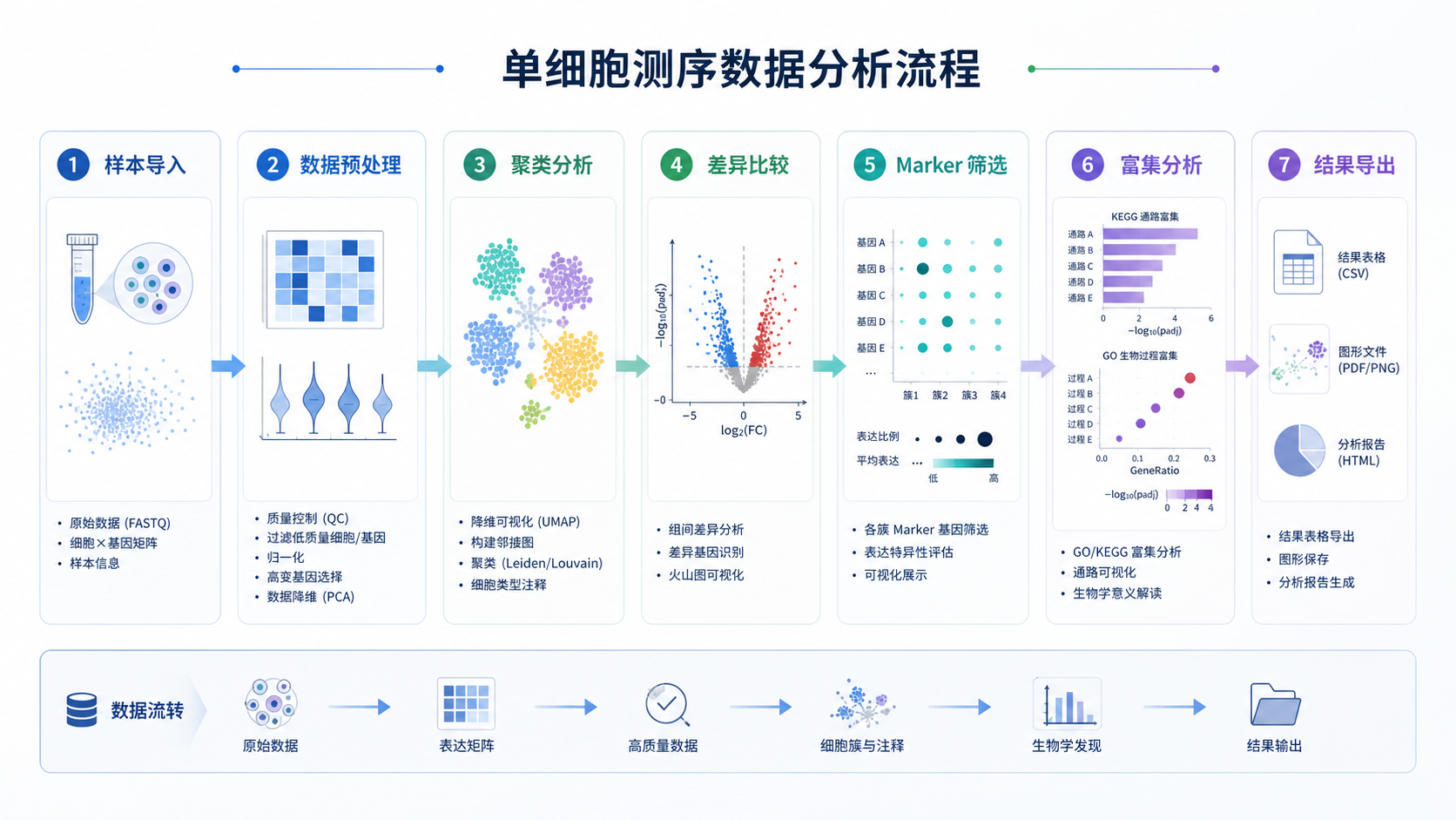 单细胞测序数据分析流程图,包含样本导入、聚类、差异比较、marker筛选、富集分析和结果导出PDF的完整链路