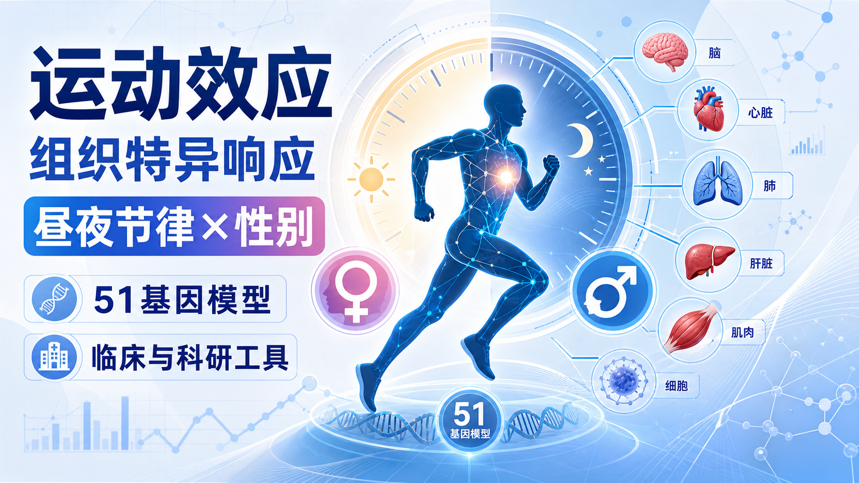 《细胞》发布 22 种组织运动多组学图谱:为"运动是良药"提供最强分子证据