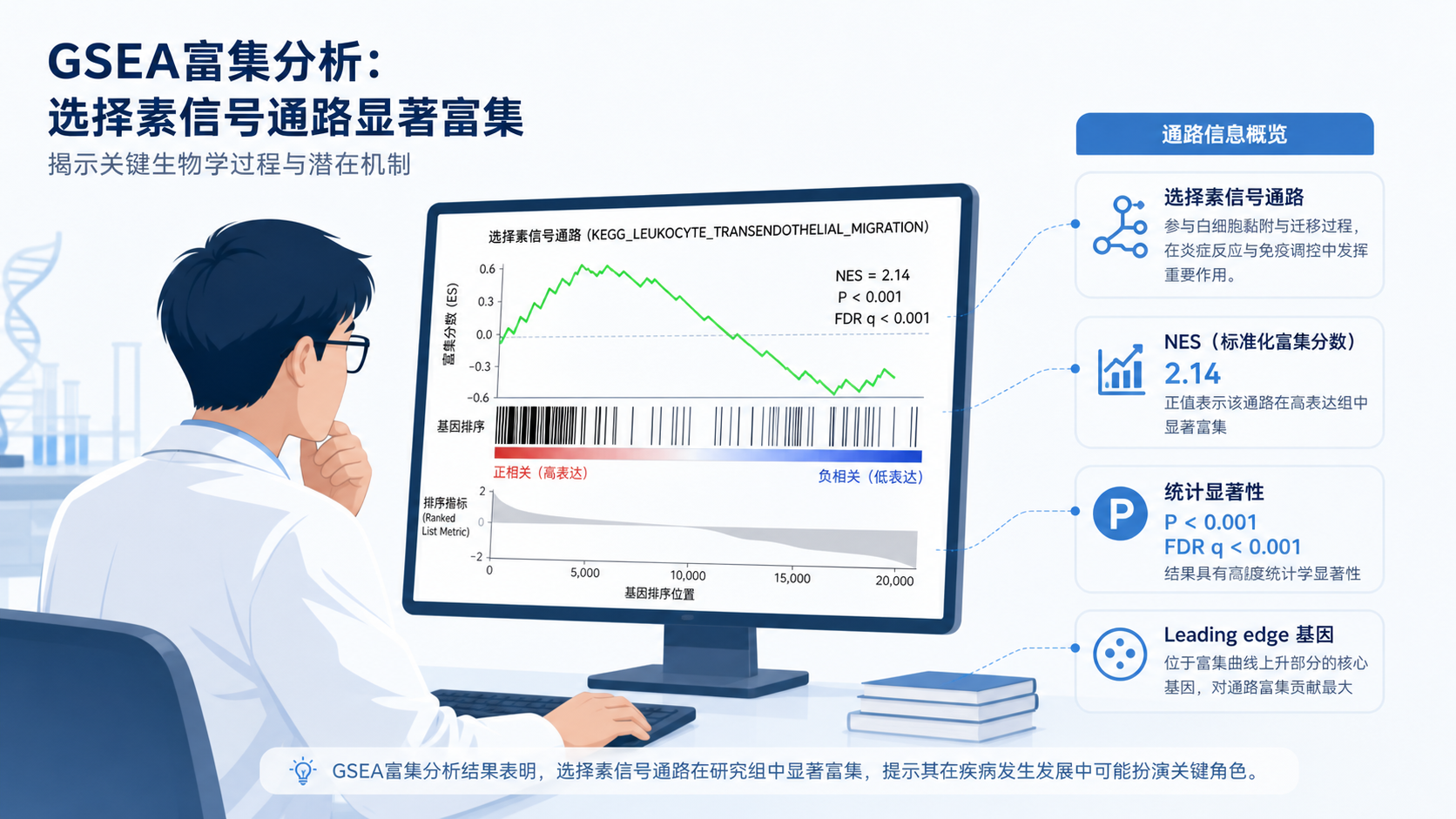 科研人员在电脑前查看GSEA富集图,旁边叠加选择素信号通路、NES、leading edge等关键词标签的示意图