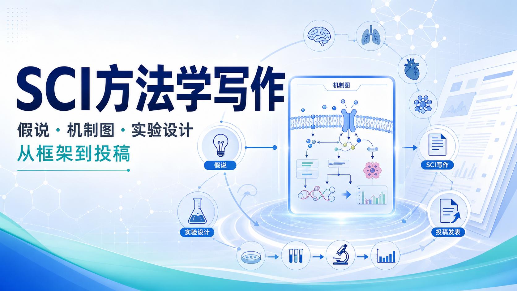 SCI方法学精讲:科学假说设计逻辑与机制图思路
