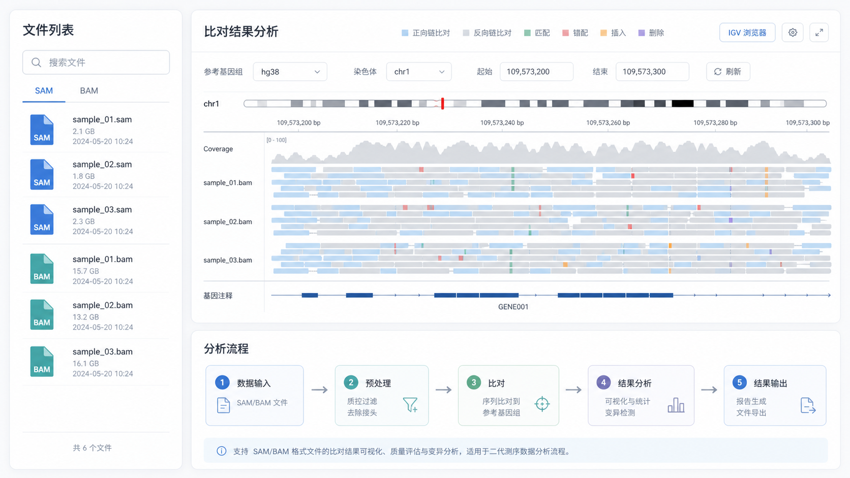 一张生信工作台场景图,左侧是SAM/BAM文件列表,右侧是比对结果、IGV浏览器和流程图,突出“格式理解与分析提效”