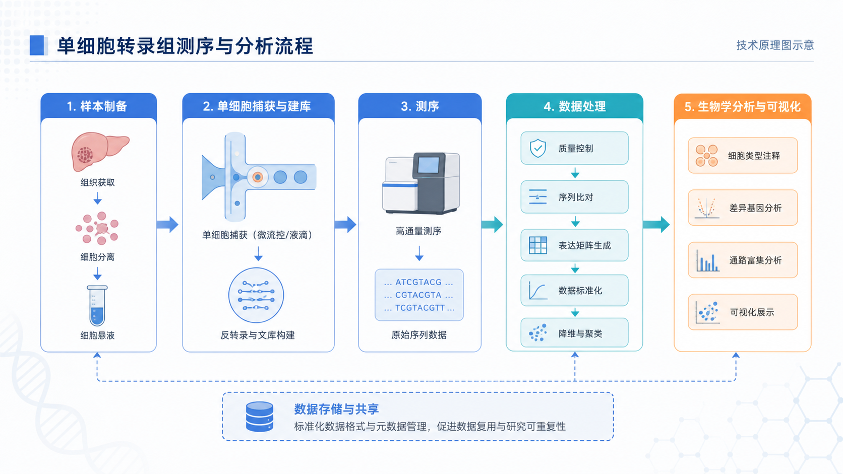 一张SCI论文中的技术原理图示意,包含流程模块、箭头连接、统一配色和规范字体,背景为论文排版页面