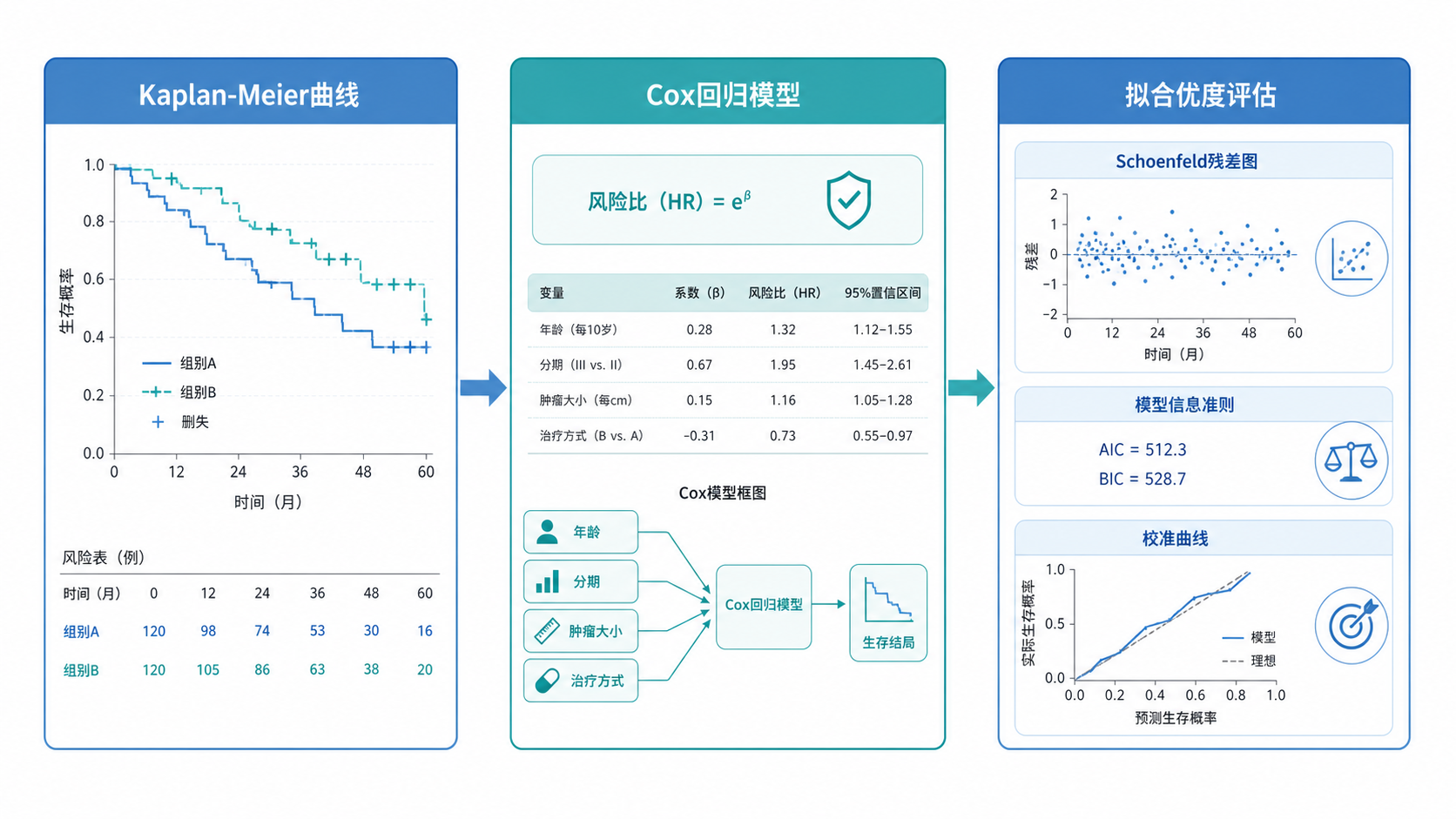 生存分析流程图，包含Kaplan-Meier曲线、Cox回归模型、拟合优度评估三个模块，风格简洁专业。
