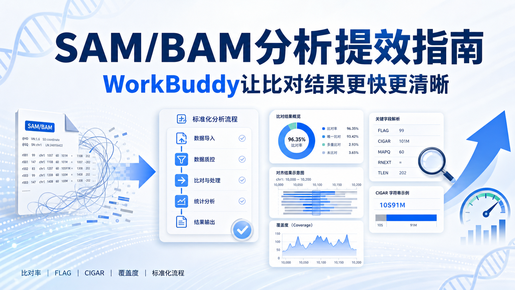 WorkBuddy加持SAM/BAM,生信分析效率翻倍